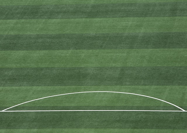 综观整个比 综观整个比