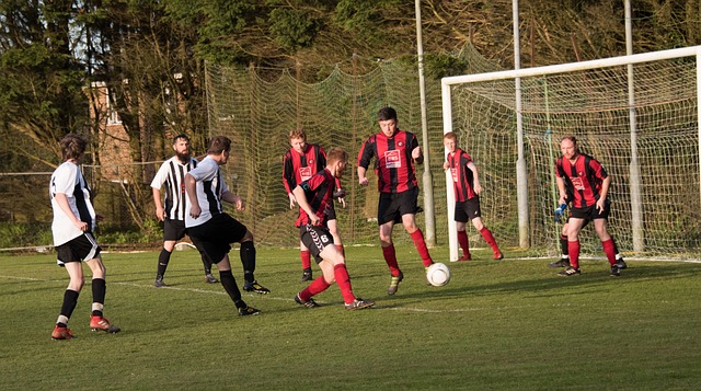 李雷是某科 李雷是某科