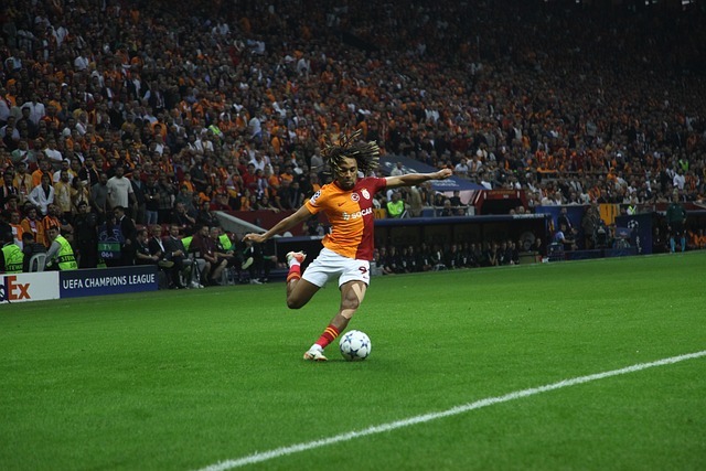 库里为例 库里为例