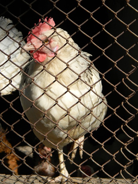 不开所有帮 不开所有帮