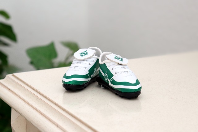 再添一抹光 再添一抹光