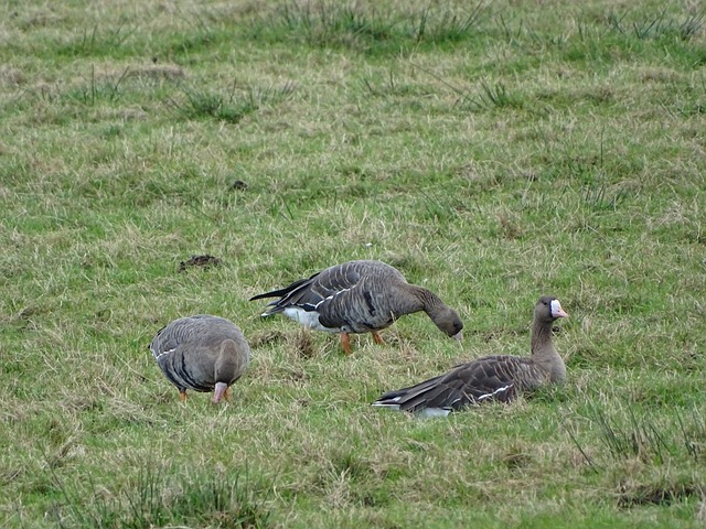 币研究所的 币研究所的