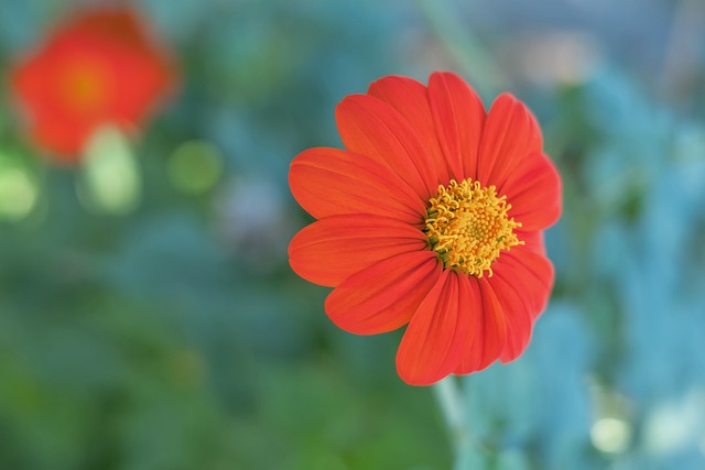 部的门将发 部的门将发