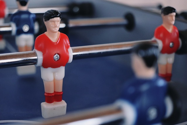 在广袤的冰 在广袤的冰