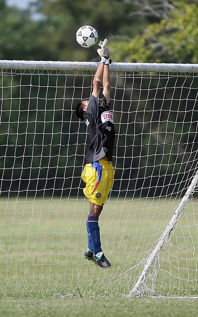 许多球迷在 许多球迷在